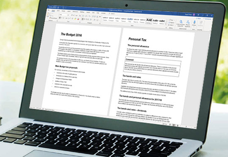 Budget summary Microsoft Word